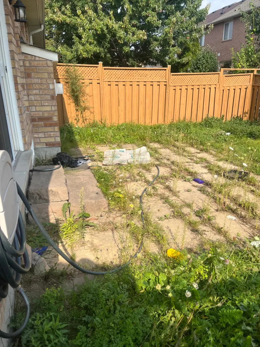 Overgrown Brampton backyard with weeds and bare patches before Moes Gardens visit