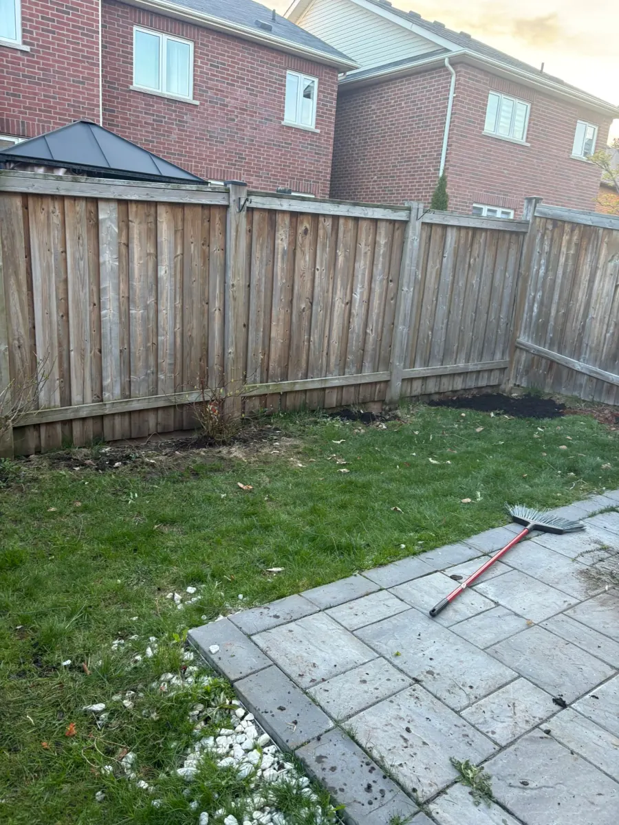 Same backyard at end of day, weeds cleared, lawn raked, beds clean
