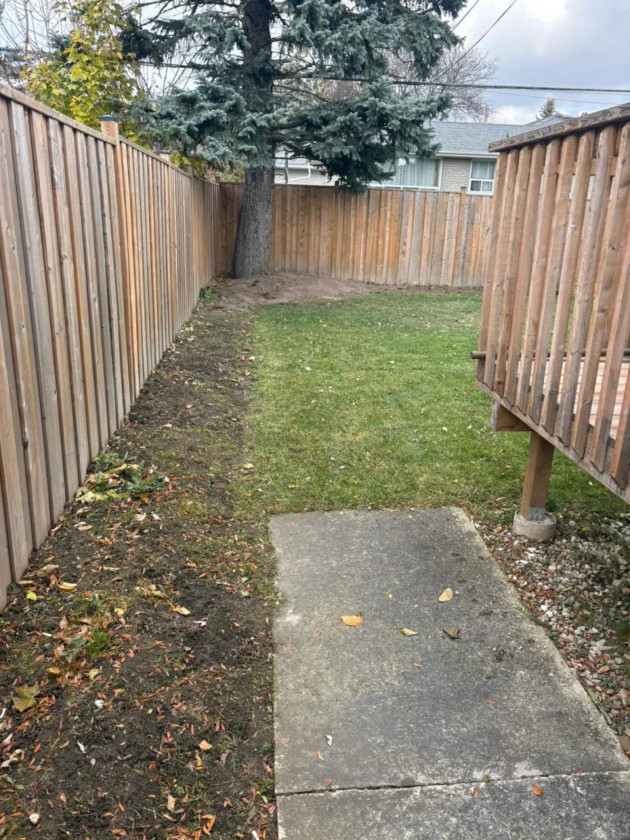 Backyard with neat lawn between fence and concrete walkway
