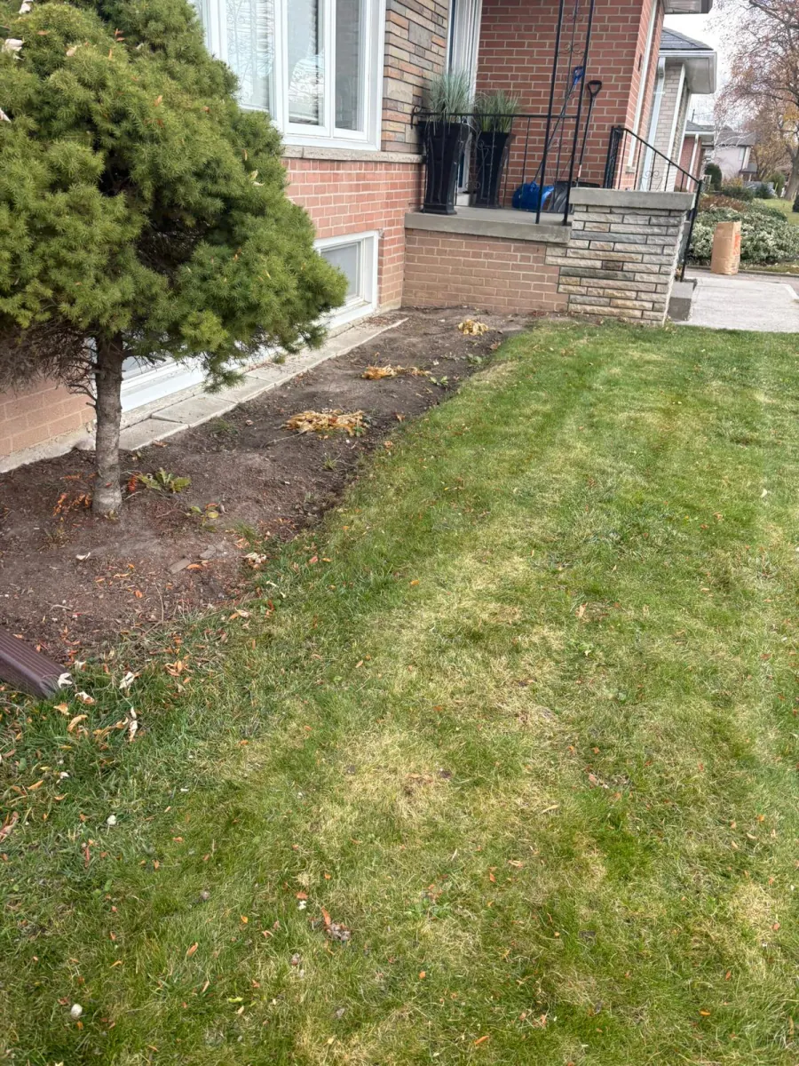 Spring garden blooms