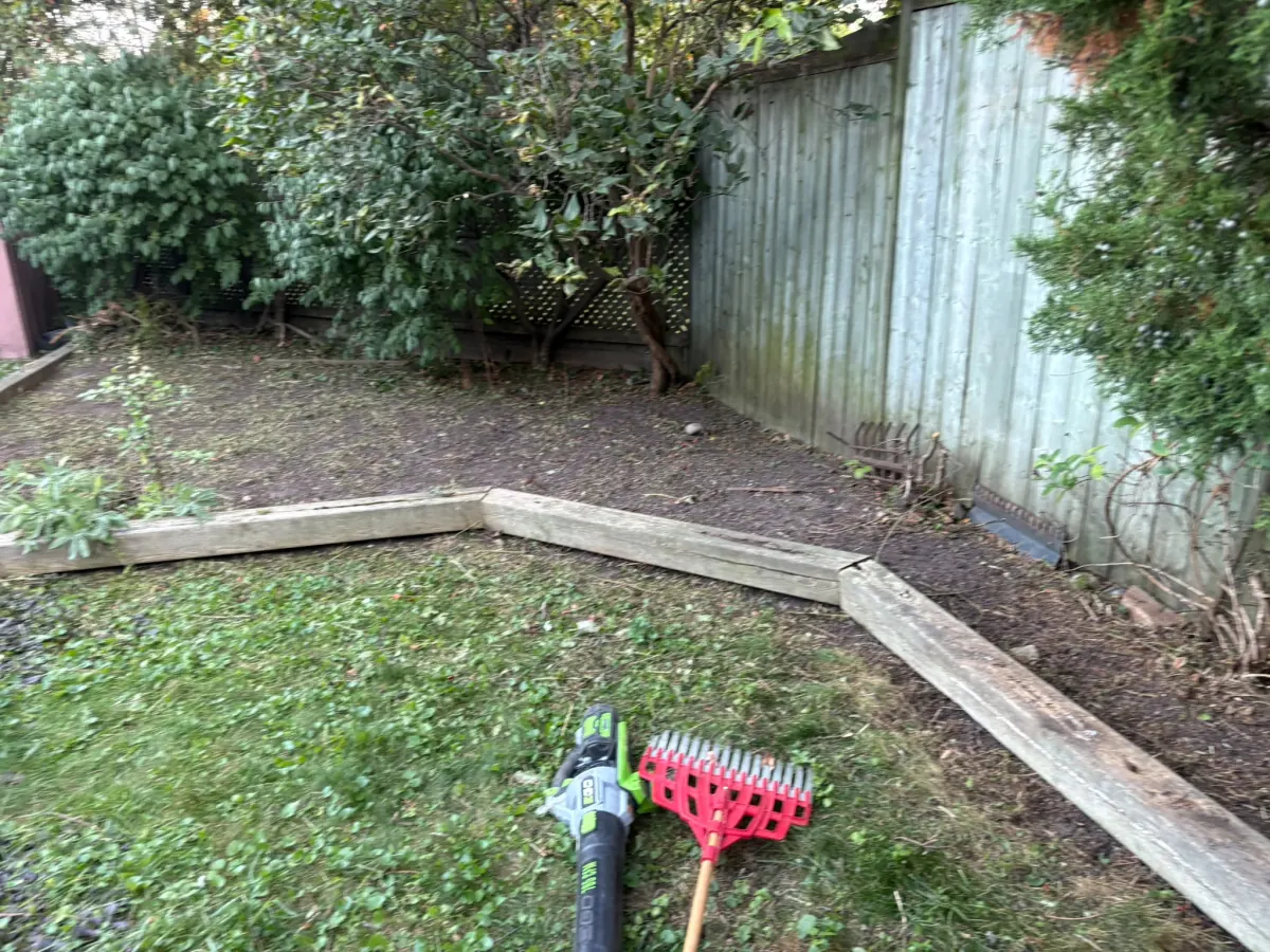 End of the visit: bed cleared to the timber edging, shrub off the fence, rake and blower on the lawn