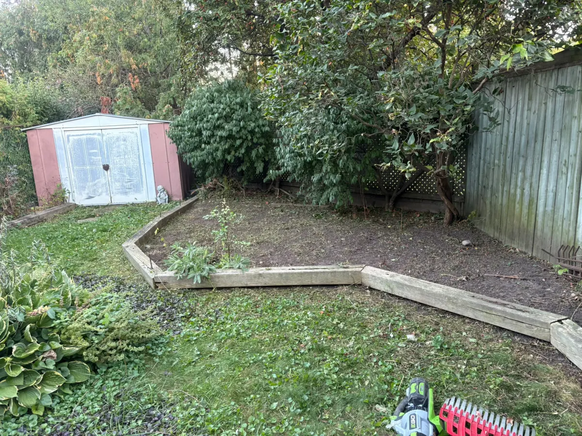 The same timber-edged bed cleared down to bare soil, shrub cut back off the fence, ready for mulch