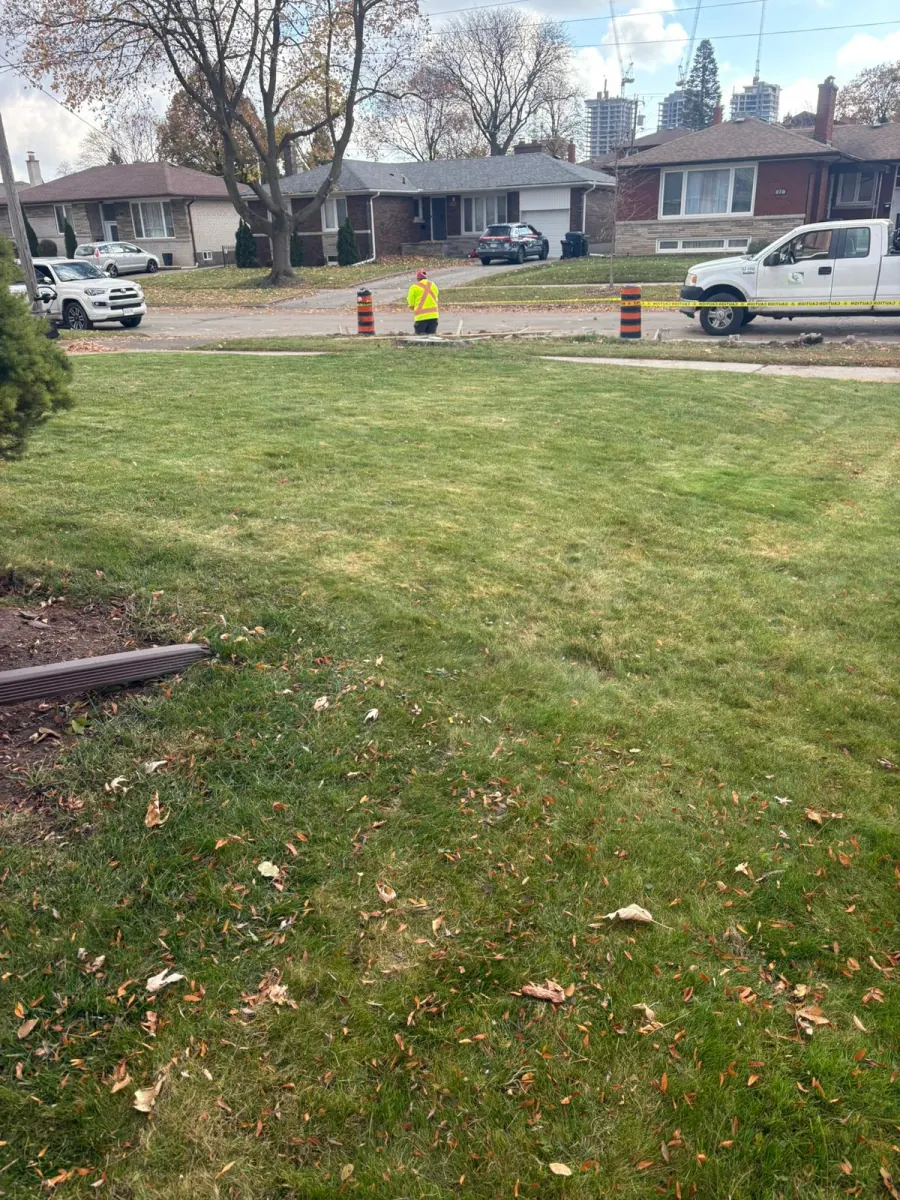 Freshly mowed lawn