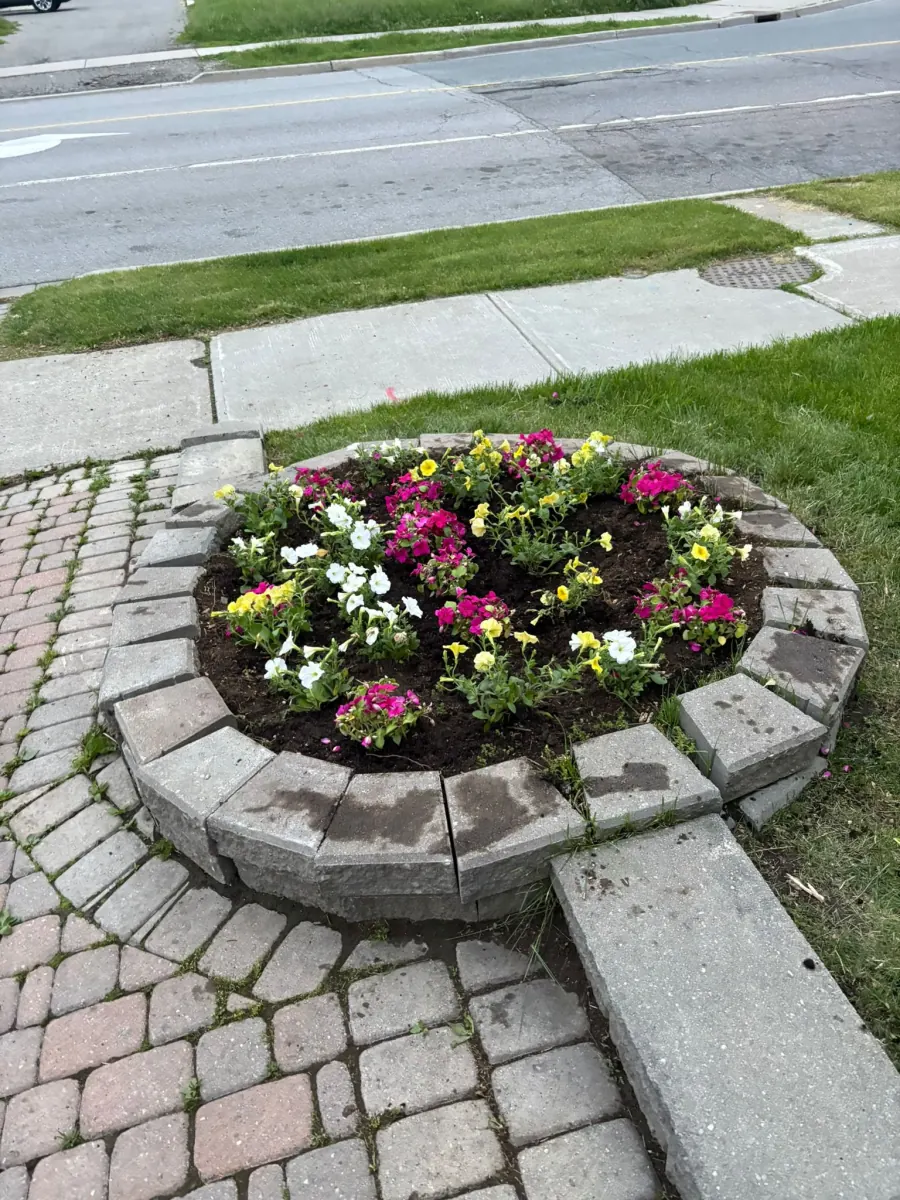 Spring garden blooms