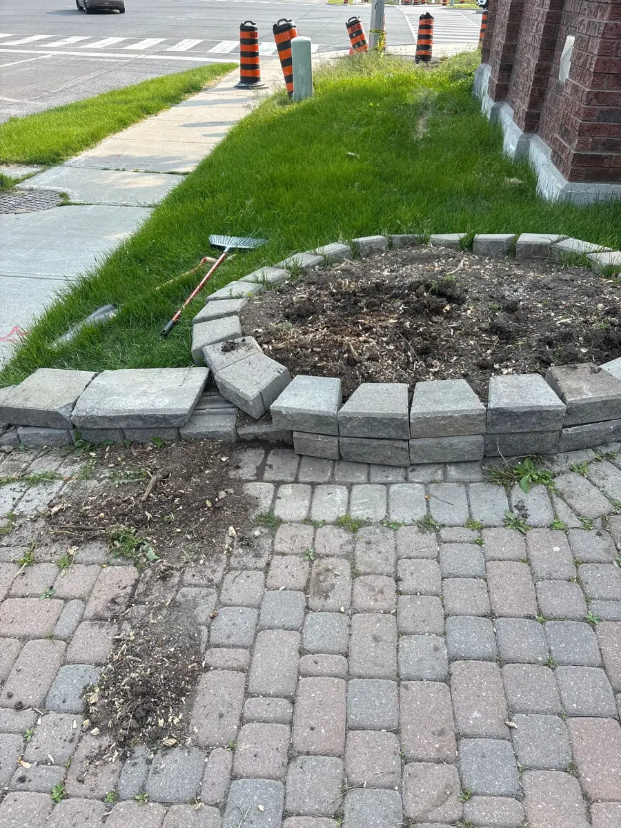 Round stone planter at curbside with bare soil, weeds, and no plants — before Moes Gardens