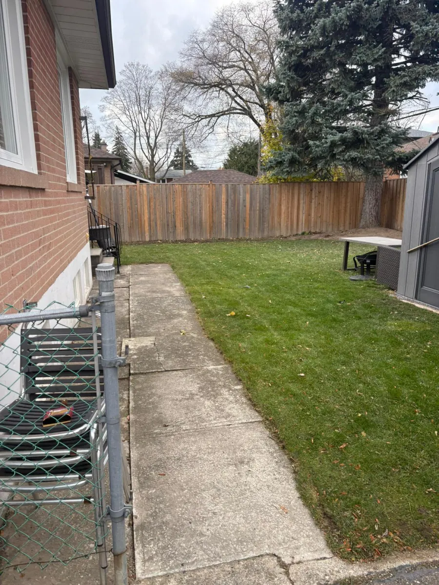 Freshly mowed lawn