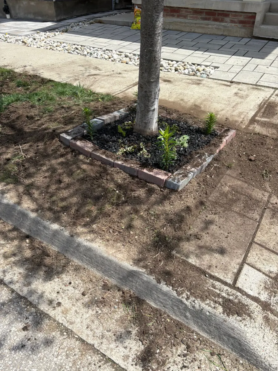 Stone walkway installation
