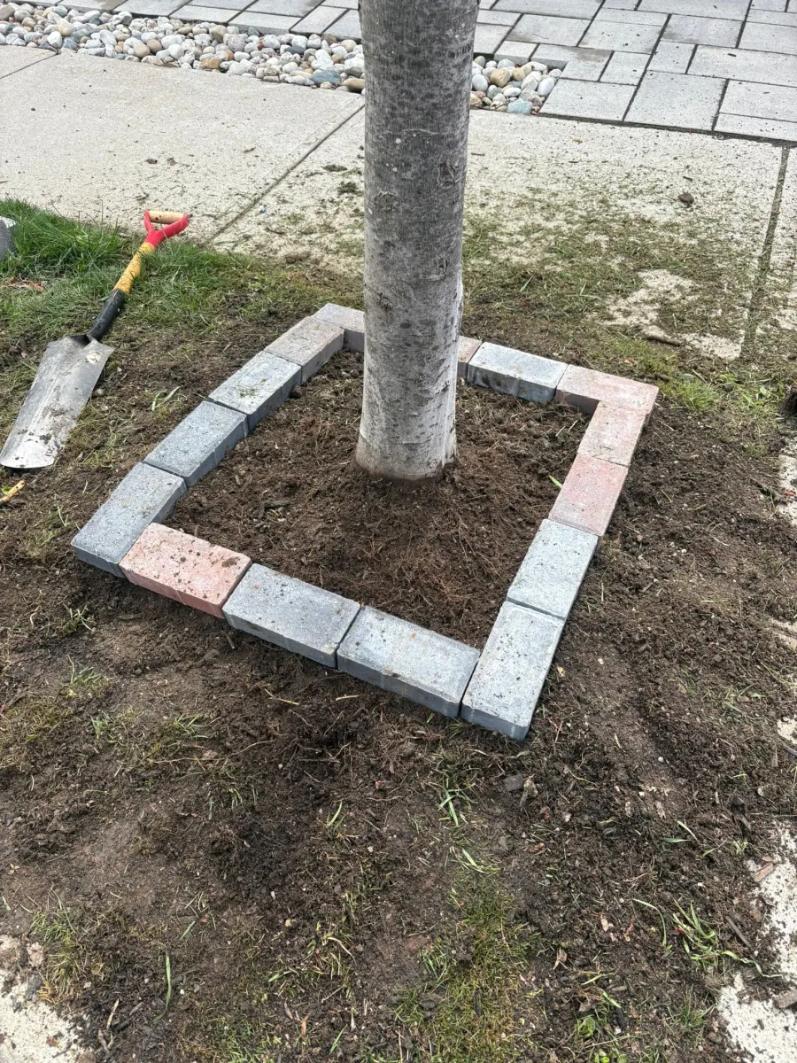 Stone walkway installation