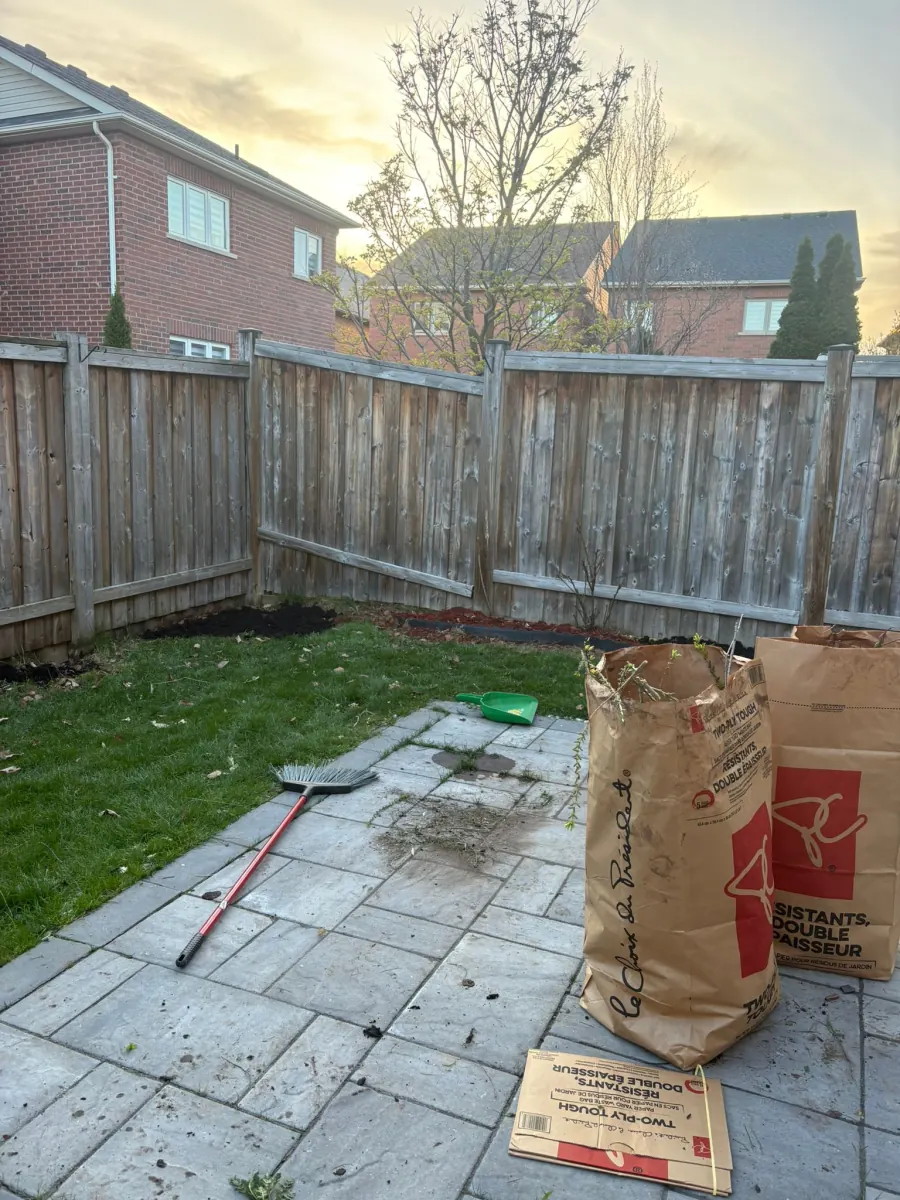 Backyard at sunset with cleanup tools and Lee Valley debris bag
