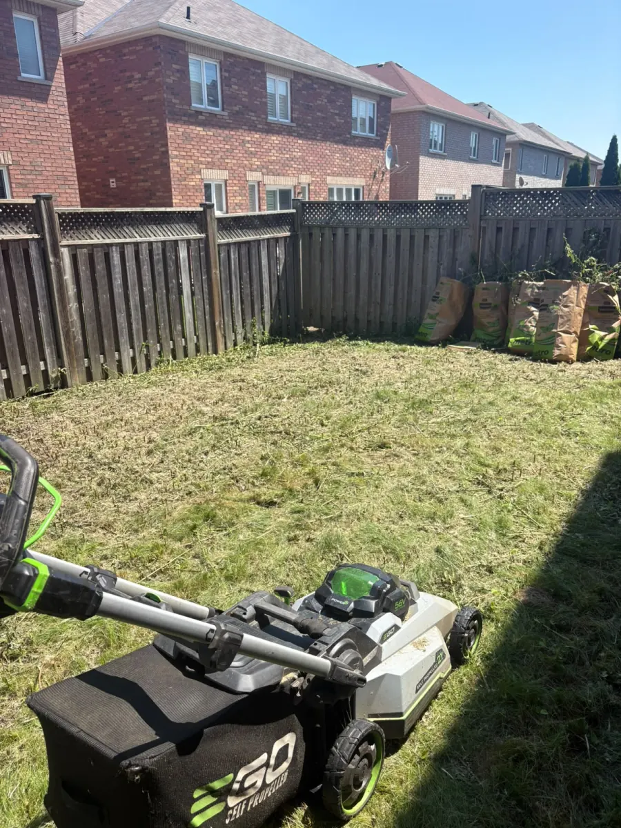 A healthy, freshly mowed green lawn on a Brampton property